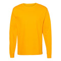 Hanes Tagless Long Sleeve T-Shirt