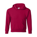 Hanes Ecosmart Youth Hooded Sweatshirt