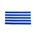 Carmel Towel Company Cabana Stripe Velour Beach Towel