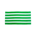 Carmel Towel Company Cabana Stripe Velour Beach Towel